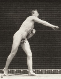 Plate 286 Baseball, throwing — figure reference
